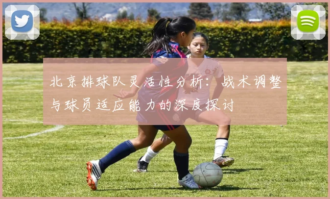 北京排球队灵活性分析：战术调整与球员适应能力的深度探讨