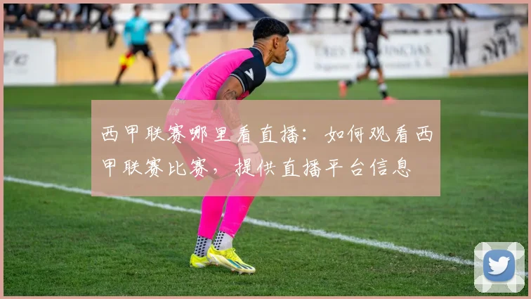 西甲联赛哪里看直播：如何观看西甲联赛比赛，提供直播平台信息